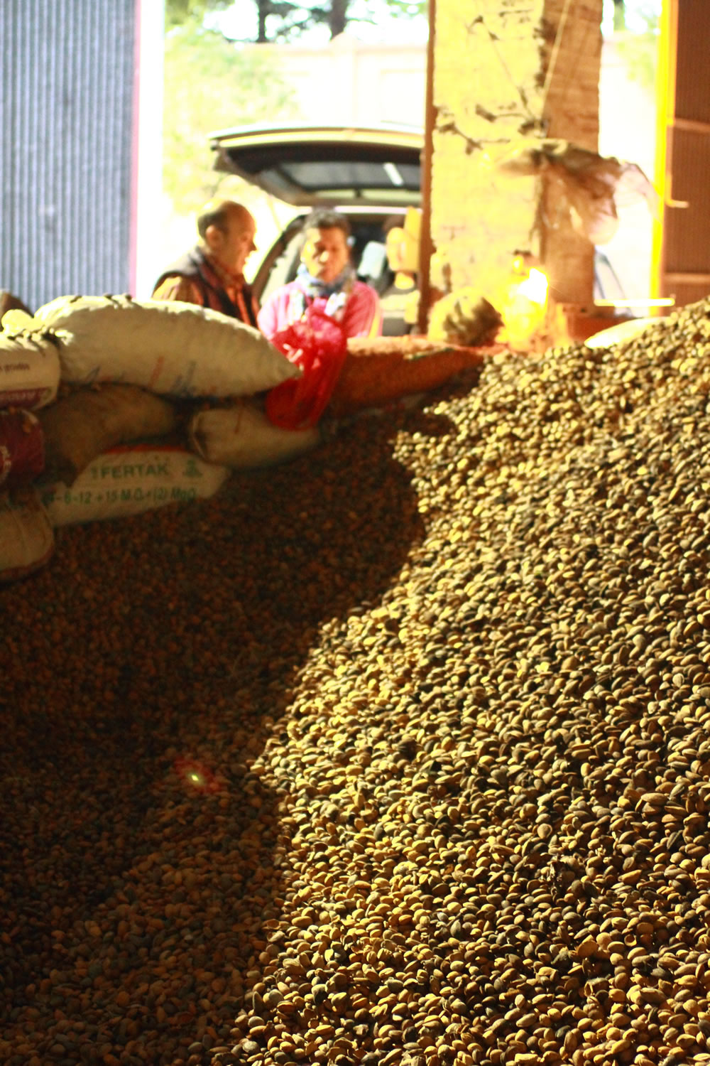 Montañas de almendras